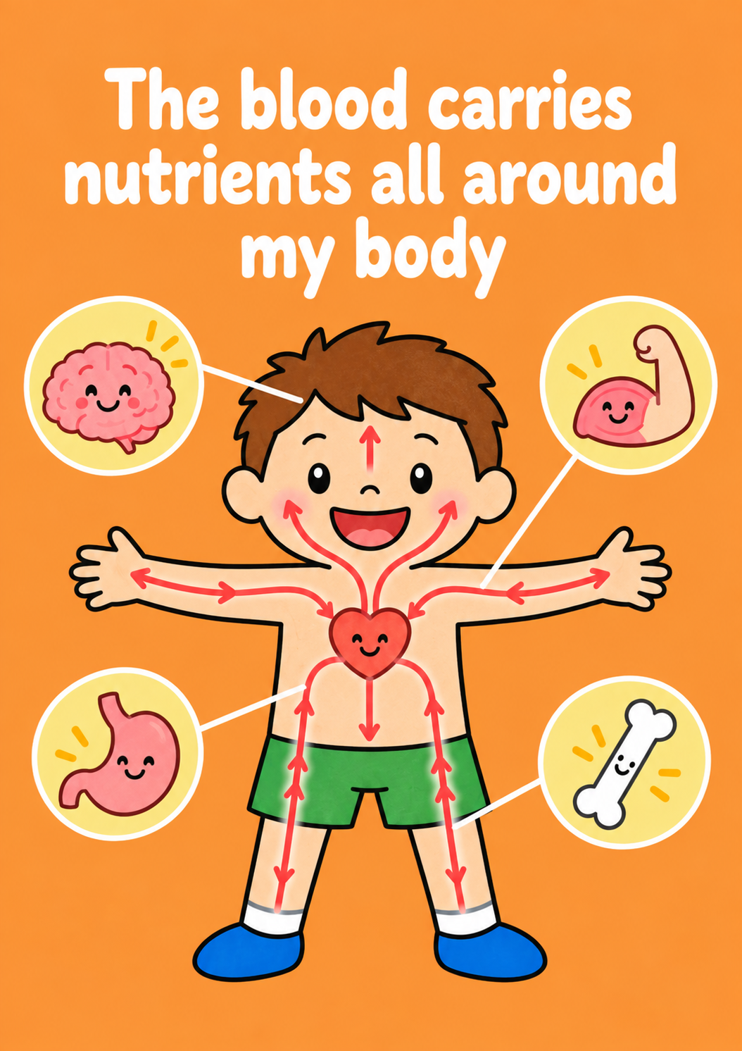 Where Does my food go? - Digital Picture Book